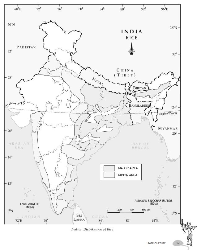 new-ncert-geography-6th-to-12th-english-medium