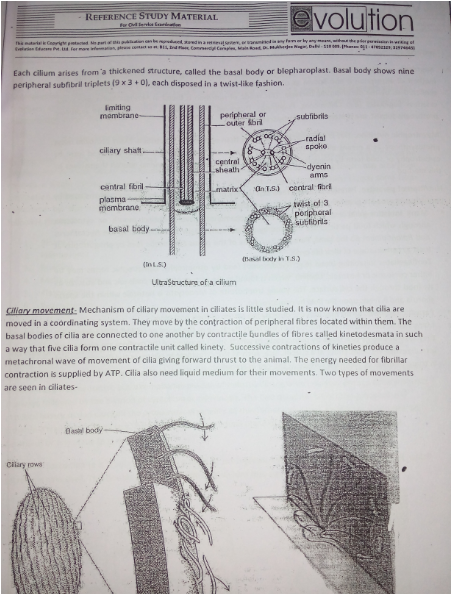 zoology-optional-by-evolution-for-ias-and-ifos