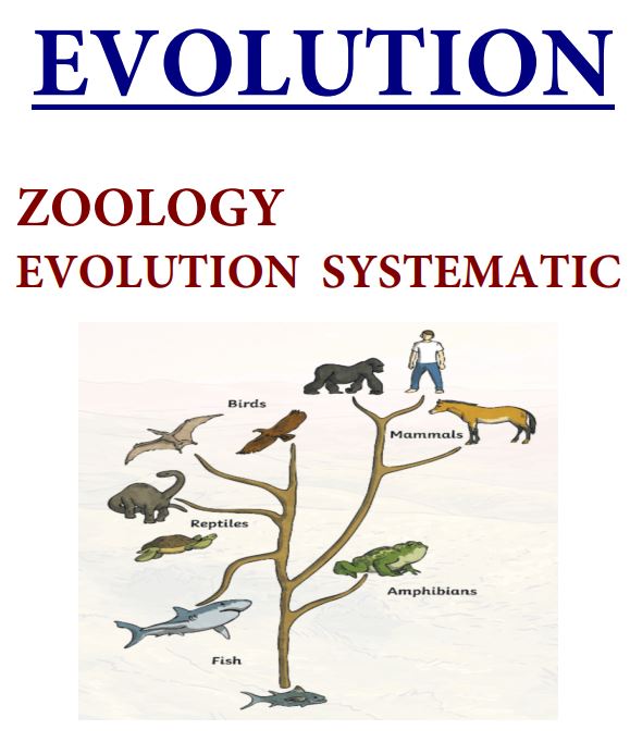 zoology-printed-notes-by-evolution-for-ias-and-ifos-2024